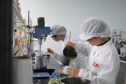 绿茵激情赋能产业腾飞 当阳折耳根水借势出圈焕新彩