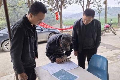 扎实推进国土绿化项目 绘就乡村振兴生态底色