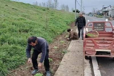 坝陵街道：办好民生实事 绘就和美乡村新图景