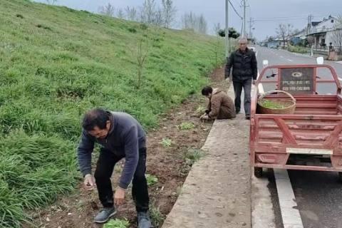 坝陵街道：办好民生实事 绘就和美乡村新图景