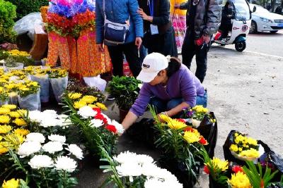清明祭扫倡文明新风 安全防火护绿色家园