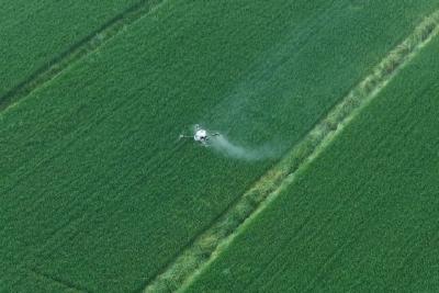 统防统治小麦赤霉病 筑牢夏粮丰收安全防线