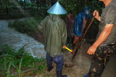 闻“汛”而动守平安 河溶镇全力筑牢防汛安全防线