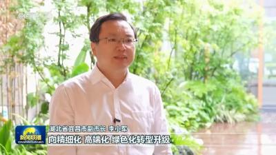 今晚，《新闻联播》头条聚焦宜昌