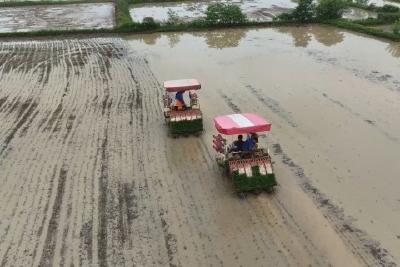 抓雨隙 抢农时 我市多措并举护航粮食生产