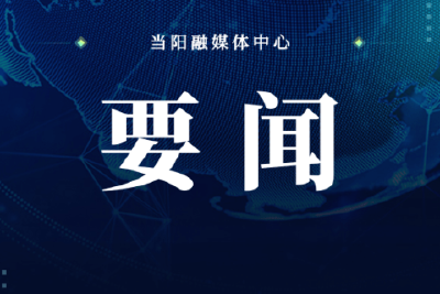我市召开科技创新暨优化营商环境会议
