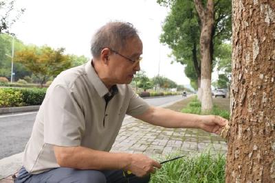 郑启洋：五十余载治蚁路 以匠心与创新守护一方安宁