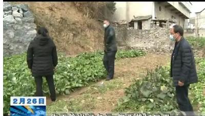 零感染！雷家店鎮(zhèn)硬核舉措扎牢疫情防線