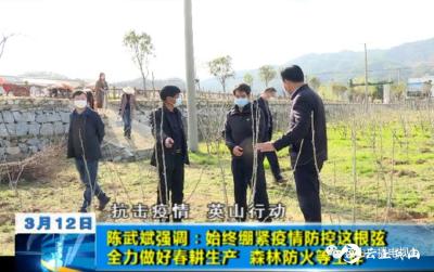 陳武斌強(qiáng)調(diào)：始終繃緊疫情防控這根弦 全力做好春耕生產(chǎn)、森林防火等工作