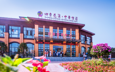 我眼中的四季花海