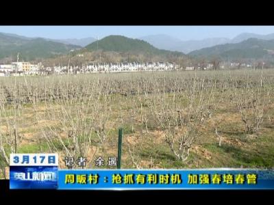 周畈村：抢抓有利时机 加强春培春管