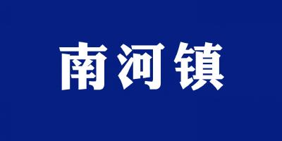 扶贫路上的“铿锵玫瑰” ——记南河镇财政所支部女书记明星扶贫事迹 