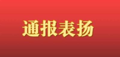 关于疫情防控表现突出的城乡网格员的表扬通报