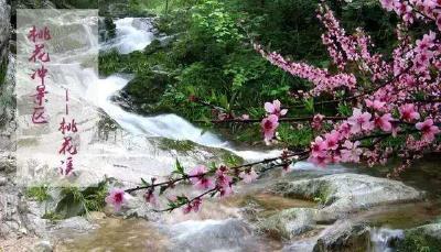桃花冲寻胜
