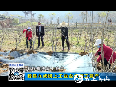 我县九成规上工业企业复工复产
