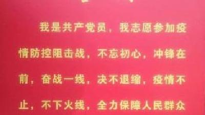 杨柳湾镇财政所党支部：“疫”线上的坚强堡垒
