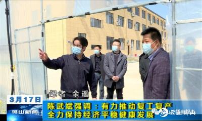 陈武斌强调：有力推动复工复产 全力保持经济平稳健康发展