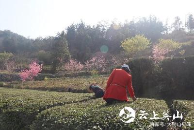 英山“四进”进行时：防疫生产两手硬