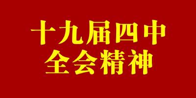 卢峰在陶家河乡宣讲党的十九届四中全会精神