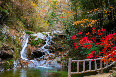 紫气东来桃花冲