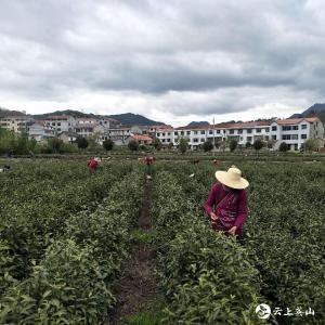 草盘地镇吹起“四进”号角，发起脱贫攻坚、防疫促春耕总攻