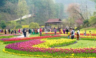 印象英山四季花海