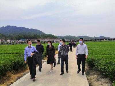 【快讯】湖北省农科院专家赴英山开展农业科技“五个一”行动
