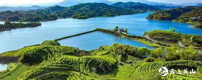 茶山放歌