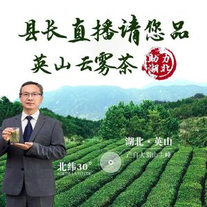 直播预告 |县长化身带货主播 为英山云雾茶代言