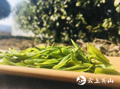 搭把手拉一把｜“鄂”有好茶：这家茶叶何以成为茶中翘楚……