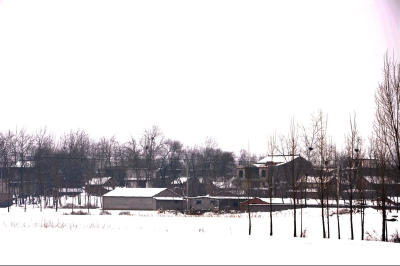 故乡的雪