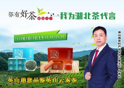 鄂有好茶 礼谢天下——首届国际茶日  英山邀你品鉴英山云雾茶

