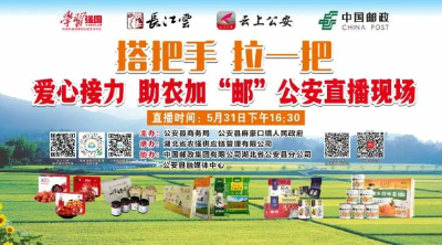 “荆楚味道 绿色公安” 特色美食任你挑