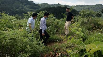 英山自然资源和规划局对温泉镇精准灭荒开展“回头看”