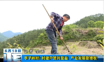 【视频】英山县亭子岭村: 村建户管共受益产业发展助增收