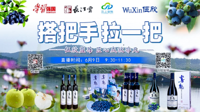 直播 | 走进湖北安陆：蓝莓满枝头，邀您来尝鲜