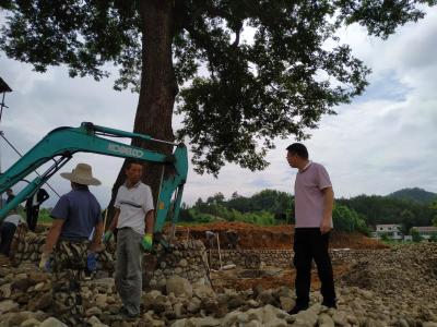 英山县陶家河乡以现场会形式推进当前重点工作