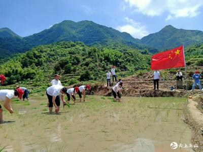英山縣財(cái)政局積極開展支部主題黨日活動(dòng)
