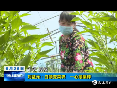 【视频】刘益元：白领变菜农  一心报桑梓      