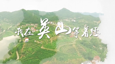 我在英山等着您