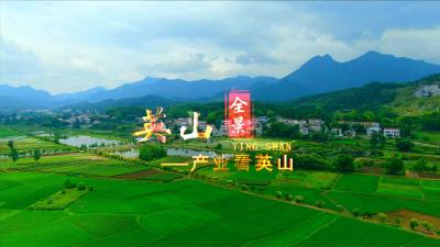 【全景英山】第二期 ——产业看英山