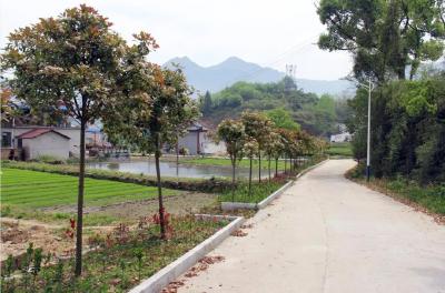 织就田园美画卷——南河镇瓦寺前村美丽乡村建设走笔