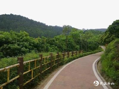 阳光总在风雨后