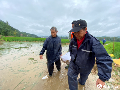 【快讯】英山金家铺镇杨家河村组织村民对水毁渠道进行恢复