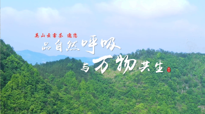 一县一品-英山云雾茶 