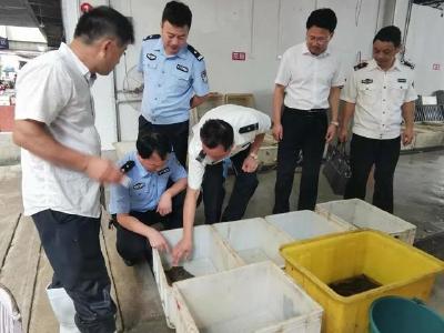  英山縣農(nóng)業(yè)農(nóng)村局：多措并舉確保禁捕見實效