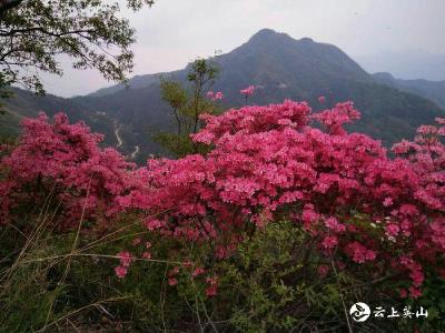 天堂村的砣儿石