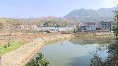 乡村处处皆风景 ——王家畈村美丽乡村建设走笔