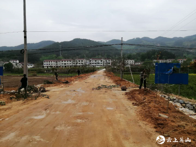 张家咀国家湿地公园  “进农村”服务美丽乡村建设