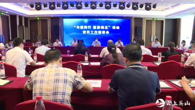 【视频】“与爱同行   惠游湖北”乐游黄冈活动在英山启动